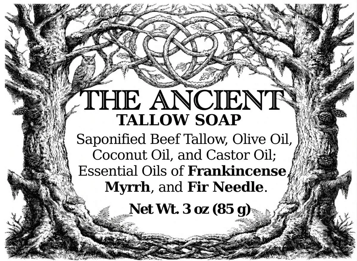 The Ancient